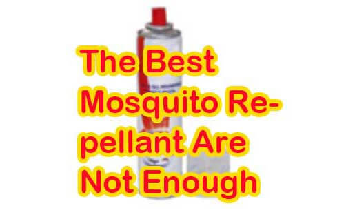 The Best Mosquito Repellant