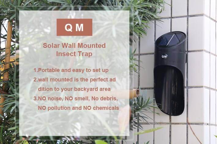 outdoor insect killer