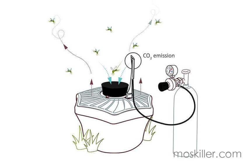 Gas Mosquito Trap